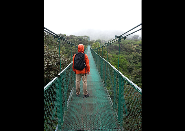 Hanging out on a hanging bridge in Costa Rica's Monteverdi Cloud Forest
